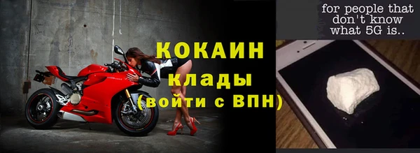 стафф Алзамай