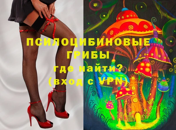 стафф Алзамай