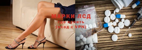 стафф Алзамай