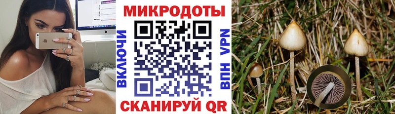 Галлюциногенные грибы MAGIC MUSHROOMS  Нефтекамск 